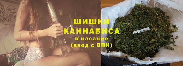 эйфоретик Арсеньев