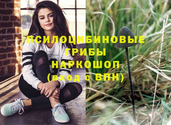 эйфоретик Арсеньев
