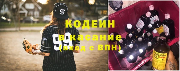 эйфоретик Арсеньев