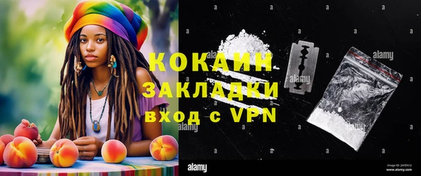 стафф Аркадак