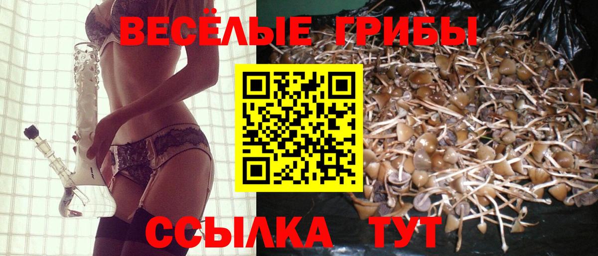 Псилоцибиновые грибы мухоморы  Вход с VPN  даркнет сайт  Волгодонск  Псилоцибиновые грибы ЛСД 